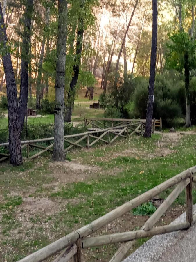 Siles Casa Pinos旅馆 外观 照片