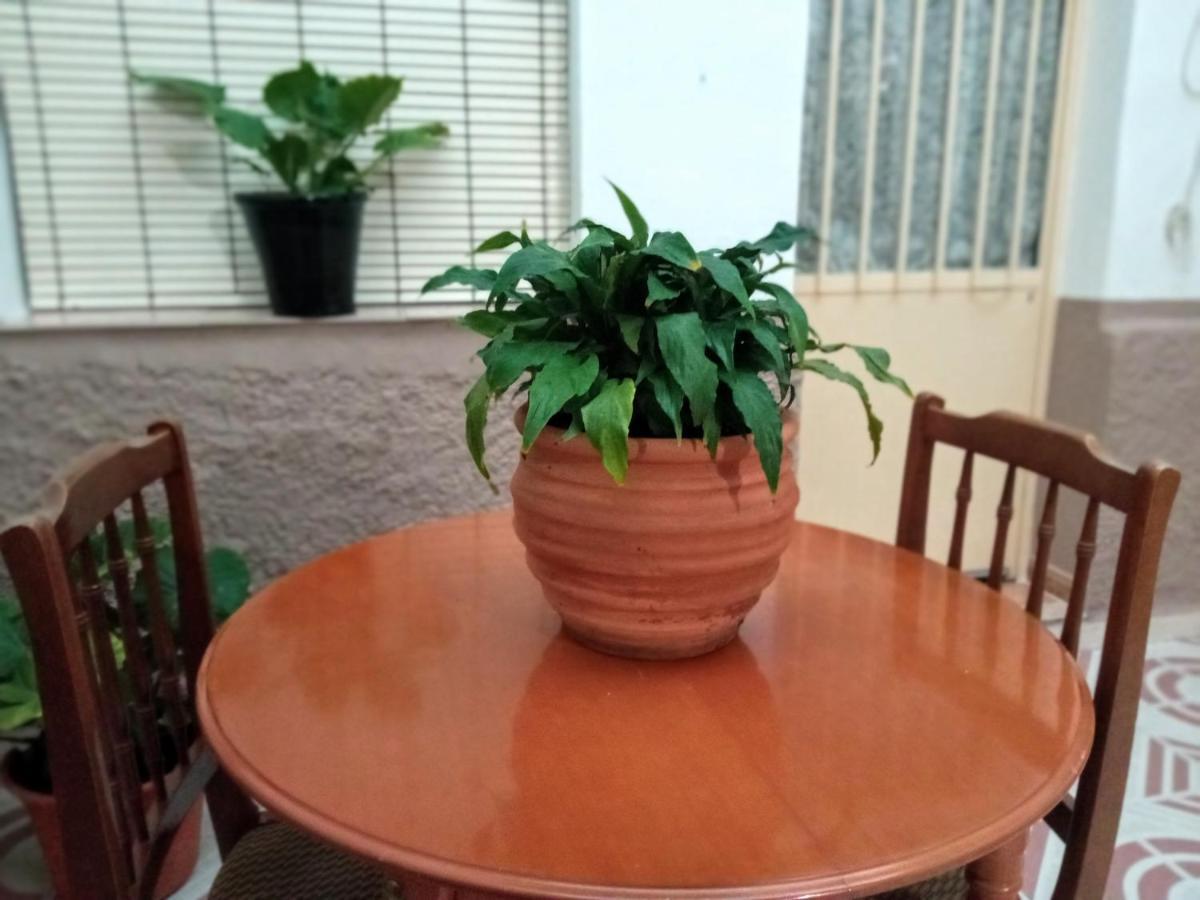 Siles Casa Pinos旅馆 外观 照片