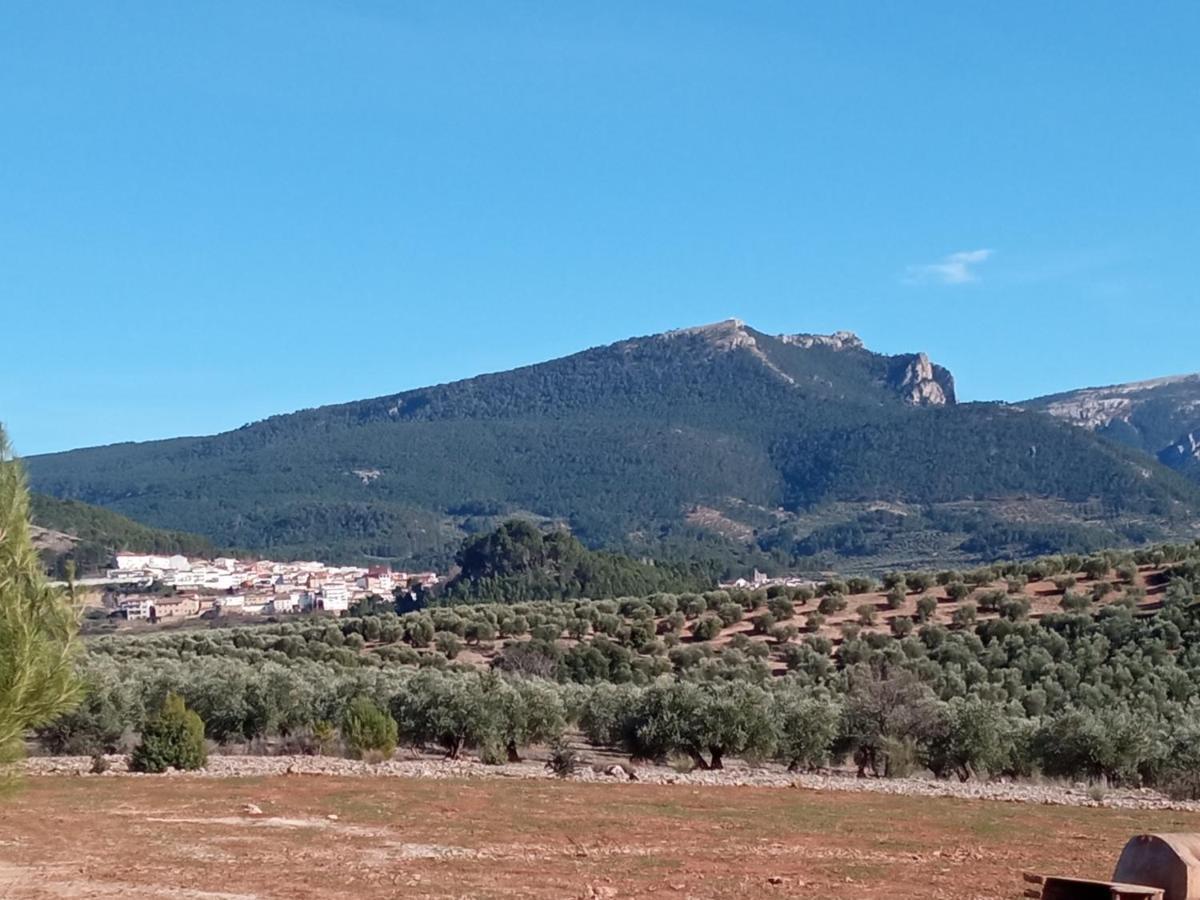 Siles Casa Pinos旅馆 外观 照片