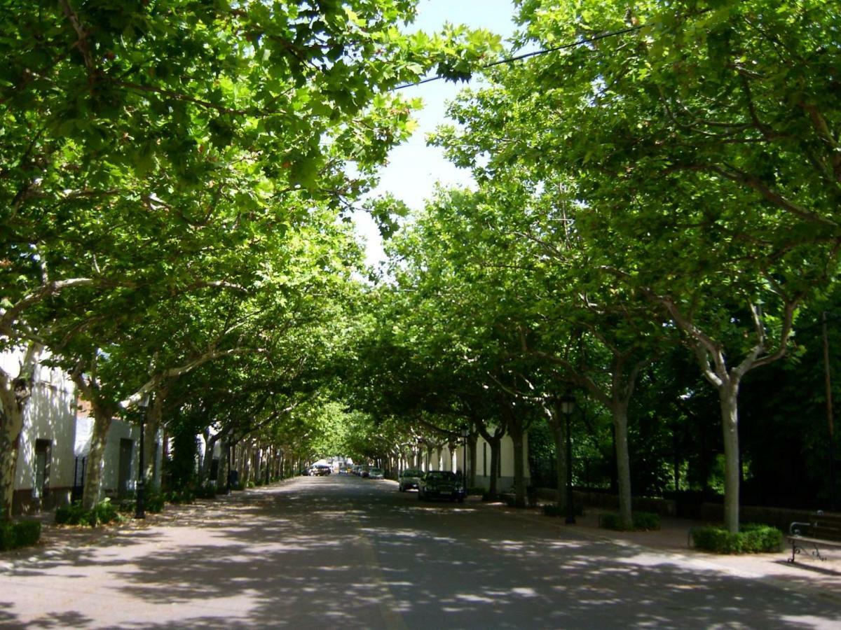 Siles Casa Pinos旅馆 外观 照片