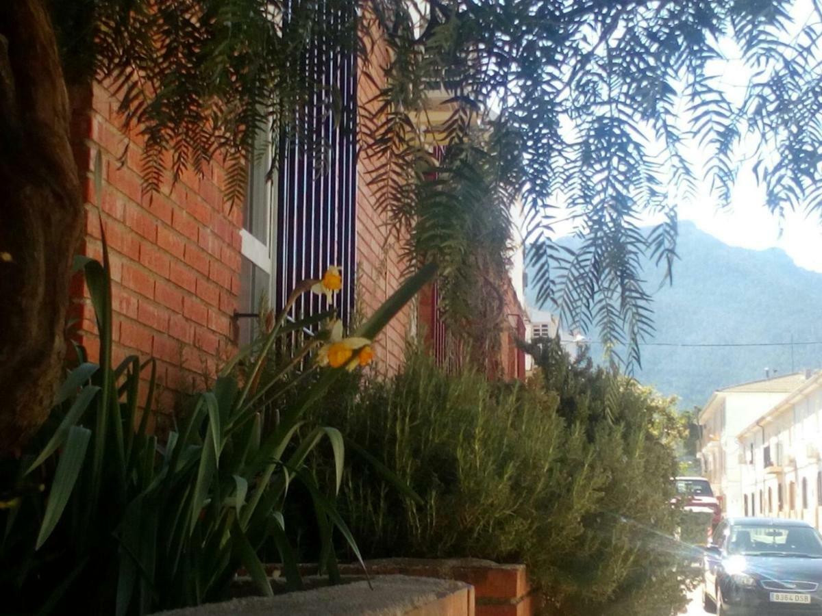Siles Casa Pinos旅馆 外观 照片