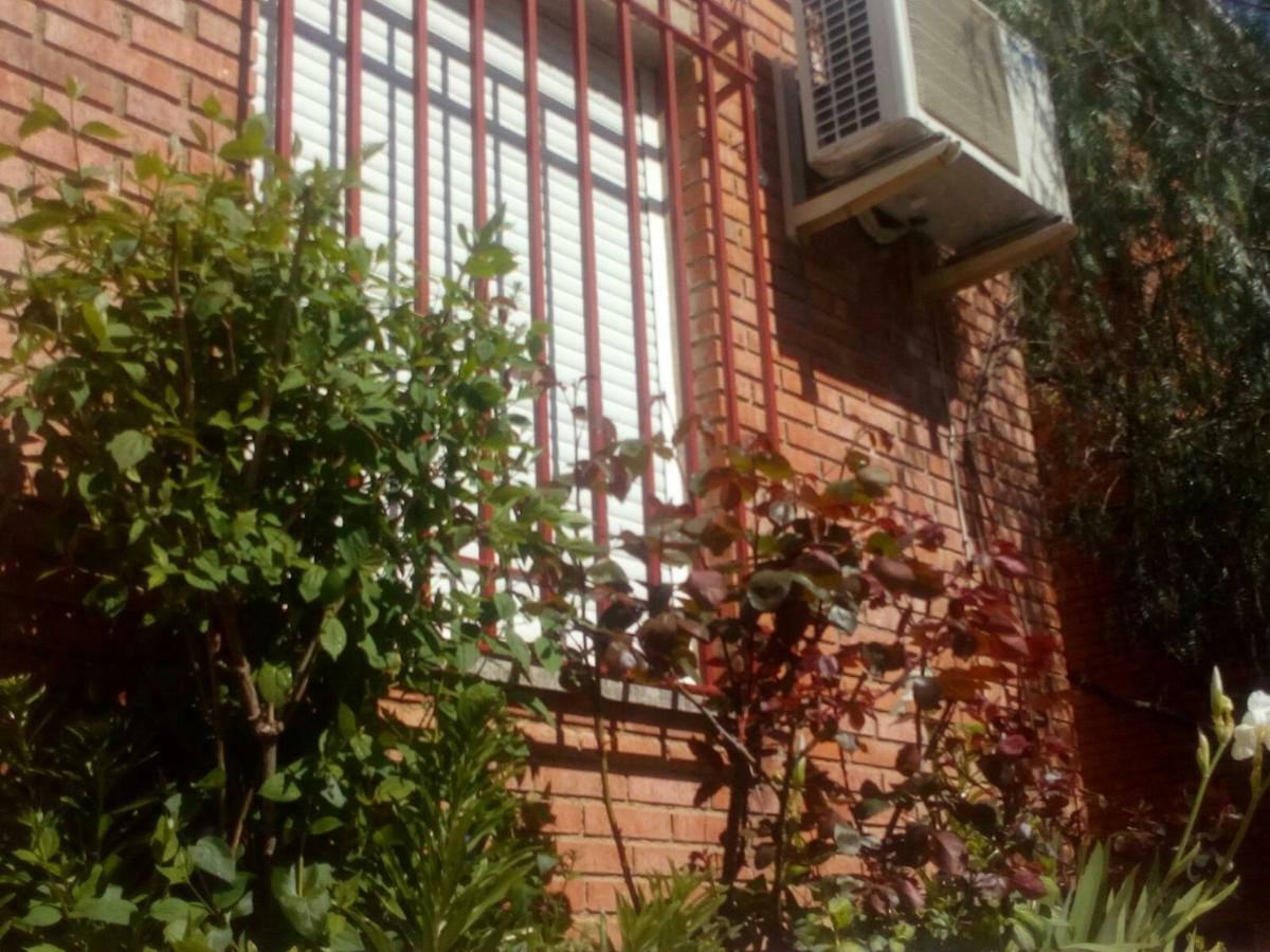 Siles Casa Pinos旅馆 外观 照片